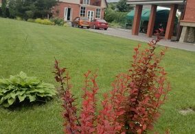 Мини-отель Гостевой дом в Тульской области