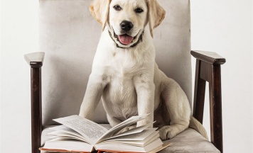 Dog Friendly Улучшенный в Усадьба Добролюбово