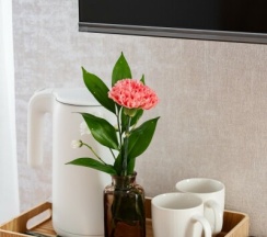 Семейный Люкс в Приозерный