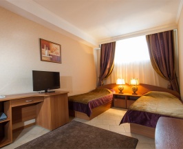 Стандарт двухместный TWIN в Отель Новый