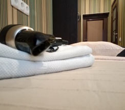 Четырёхместный номер с раздельными кроватями Стандарт в Морской