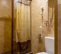 Стандартный номер с 1 кроватью в Номера в Петергофе