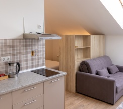 Студия комфорт с Мансардными окнами в Кarl House