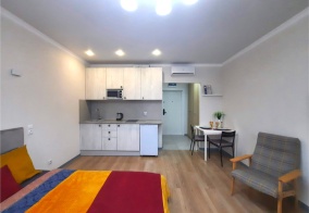 Апартаменты The Loft Studio Moscow в Котельниках