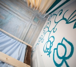 David Room в Polosaty space