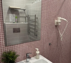 Трехместный номер Эконом в Соната