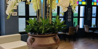Муанг: Отель Baba House Phuket Hotel