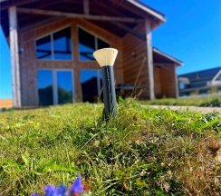 Кемпинг 4 в Вишня