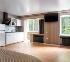 1-комнатные апартаменты люкс с балконом в Panorama Suites Group