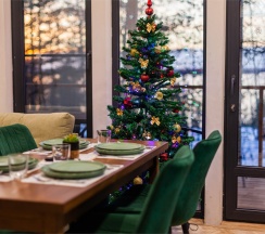 Номер «Березовая роща» в Aldi-Karelia