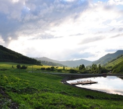 Шале с Маралами в Басаргино