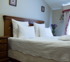 Двухместный Plus номер 1 Category с видом на парк двуспальная кровать в Гостиничный комплекс Имение Алтунъ корпус Барский флигель