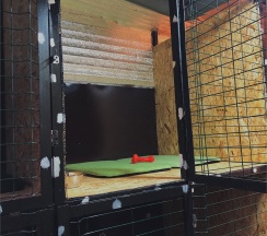 Комната для домашних животных в Сак