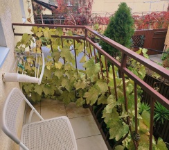 3-местный номер полулюкс с балконом в Солнце Тургенева