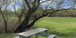 Малая Козона: Коттедж Лес и Луга