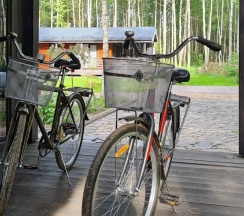 Lato-80 Sauna в Домик в соснах