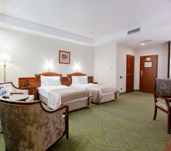 DELUXE TWIN PREMIUM в Видгоф