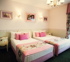 Двухместный номер DE LUXE в O`Hara