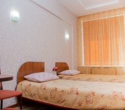 Стандартный двухместный номер в Пингвин