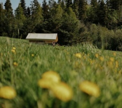 ROMANTIC в Radostland