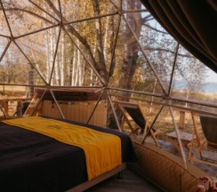 Сфера Янтарь в Holidays Forest