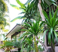 Одноместное бунгало в Lamai Inn 99 Bungalows