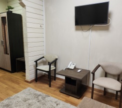 Стандарт в Гостеев