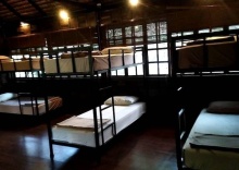 Кровать в общем номере в Deejai Chiang Mai Backpackers - Adults Only