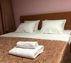 Номер стандарт с 1 двуспальной кроватью в Гостиница