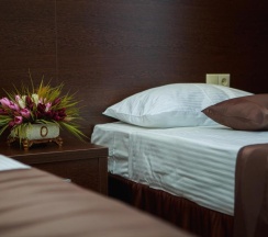 Двухместный номер Делюкс с 2 отдельными кроватями в Grand hotel