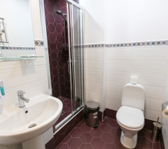 Стандартный номер с двухспальной кроватью в Аврора