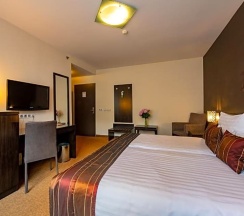 Одноместный номер Standard двуспальная кровать в Regnum Residence