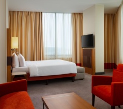 Люкс с доступом в бизнес-лаундж в Cosmos Selection Moscow Sheremetyevo Airport Hotel