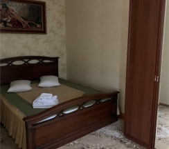 Двухместный вип в Петровскъ