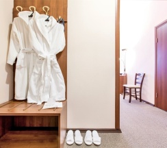 Номер Люкс в Дубки