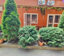 СТУДИЯ С КУХНЕЙ И ТЕРРАСОЙ в Одиссей