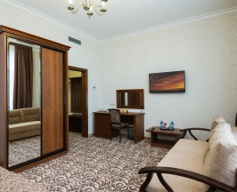 Улучшенный двухместный номер в Zion