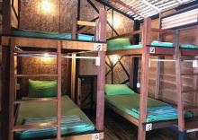 Кровать в общем номере в Cafe Del Sunshine - Hostel