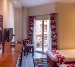 Двухместный номер Standard 2 отдельные кровати в Seagull Beach Resort Families & Couples Only - All Inclusive