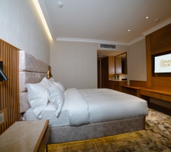 Одноместный номер Standard в Frankfort Hotel & Spa (Франкфорт и Спа)