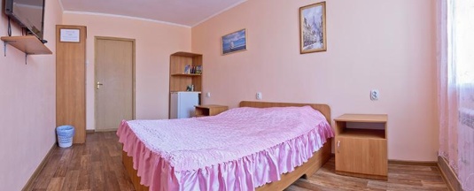 2-местный номер эконом в Подсолнухи