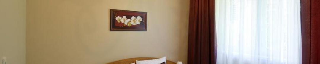 Номер стандарт с 1 двуспальной кроватью в Романов