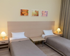 Номер стандарт с 2 односпальными кроватями в Лидия