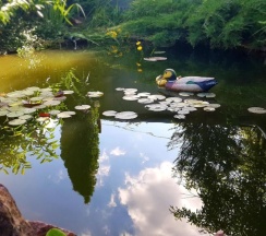 Дом в Дом туриста