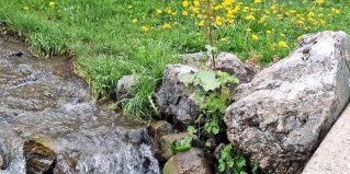 Архыз: Гостевой дом Ай-бетли