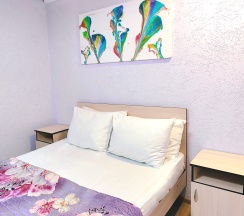 Двухкомнатный Четырёхместный Семейный номер  в Уральские самоцветы