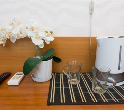 Двухместный номер с 2 отдельными кроватями в Абсолют