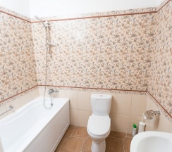 Стандарт однокомнатный в Раздолье