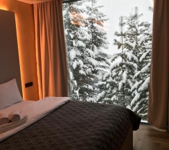 Полулюкс в Телецкое Золотое