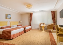 Номер первой категории СУПЕРИОР ТВИН (вид на стену) в Rimar Hotel Krasnodar